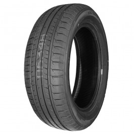 205/55R16 91V ENZO G1